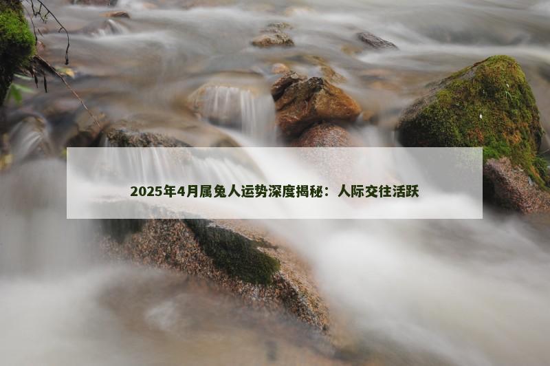 2025年4月属兔人运势深度揭秘：人际交往活跃