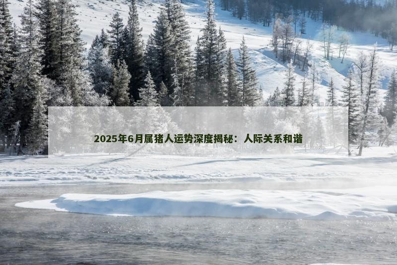 2025年6月属猪人运势深度揭秘：人际关系和谐
