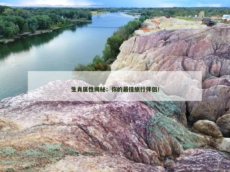 生肖属性揭秘：你的最佳旅行伴侣！