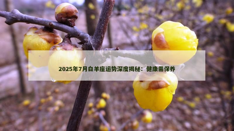 2025年7月白羊座运势深度揭秘：健康需保养