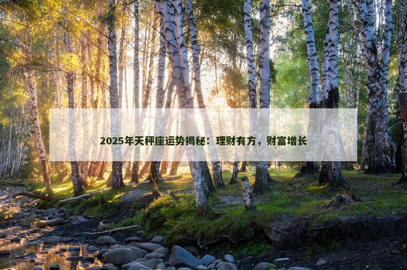 2025年天秤座运势揭秘：理财有方，财富增长