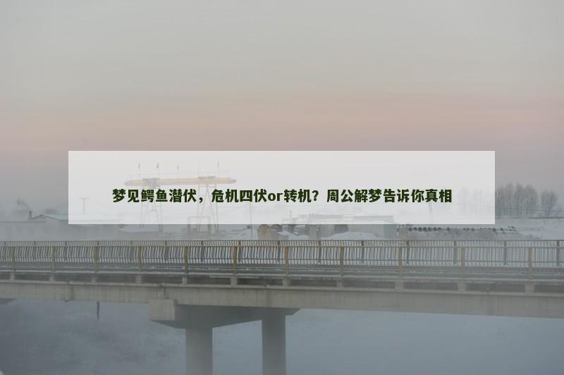 梦见鳄鱼潜伏,危机四伏or转机?周公解梦告诉你真相 梦见鳄鱼潜伏,危机四伏or转机?周公解梦告诉你真相