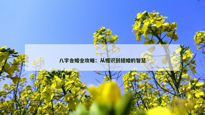 八字合婚全攻略：从相识到结婚的智慧