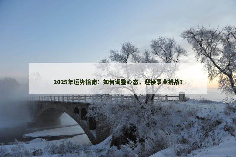 2025年运势指南：如何调整心态，迎接事业挑战？