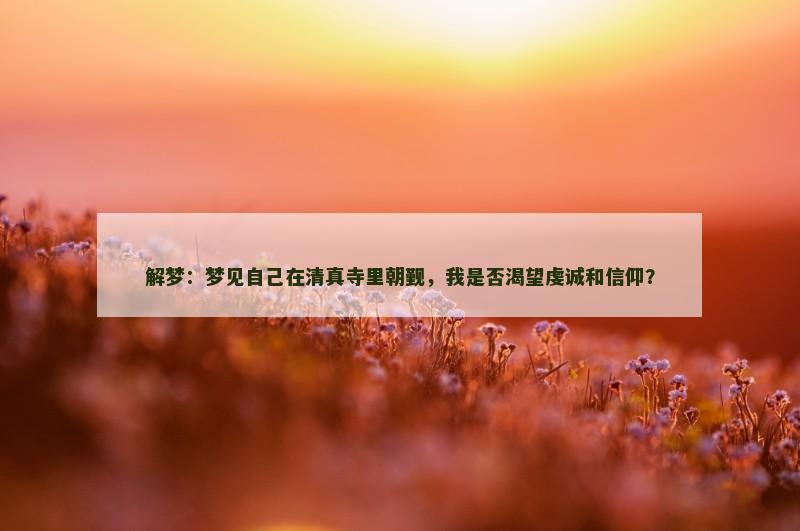 解梦：梦见自己在清真寺里朝觐，我是否渴望虔诚和信仰？