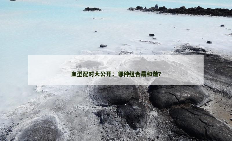 血型配对大公开：哪种组合最和谐？