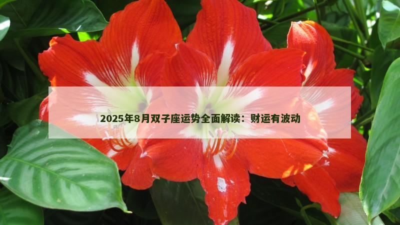 2025年8月双子座运势全面解读：财运有波动