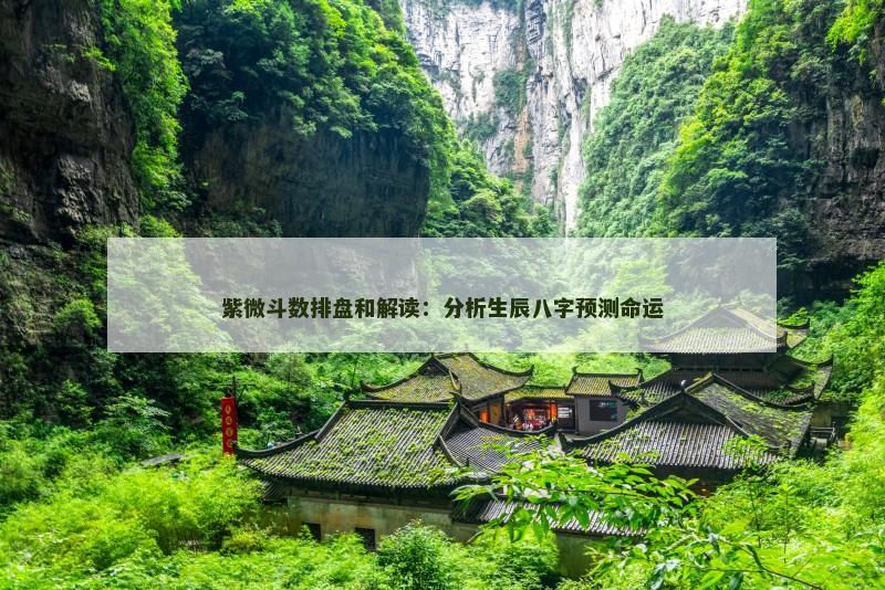 紫微斗数排盘和解读：分析生辰八字预测命运