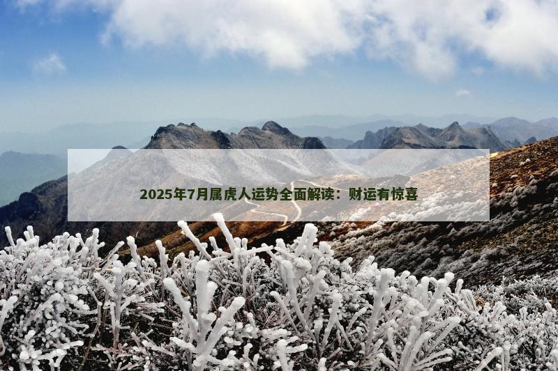 2025年7月属虎人运势全面解读：财运有惊喜
