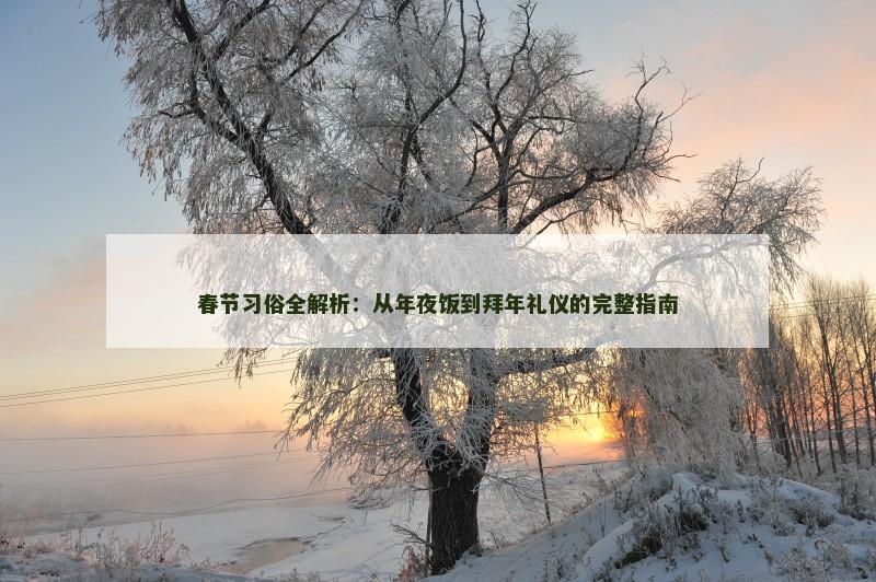 春节习俗全解析：从年夜饭到拜年礼仪的完整指南