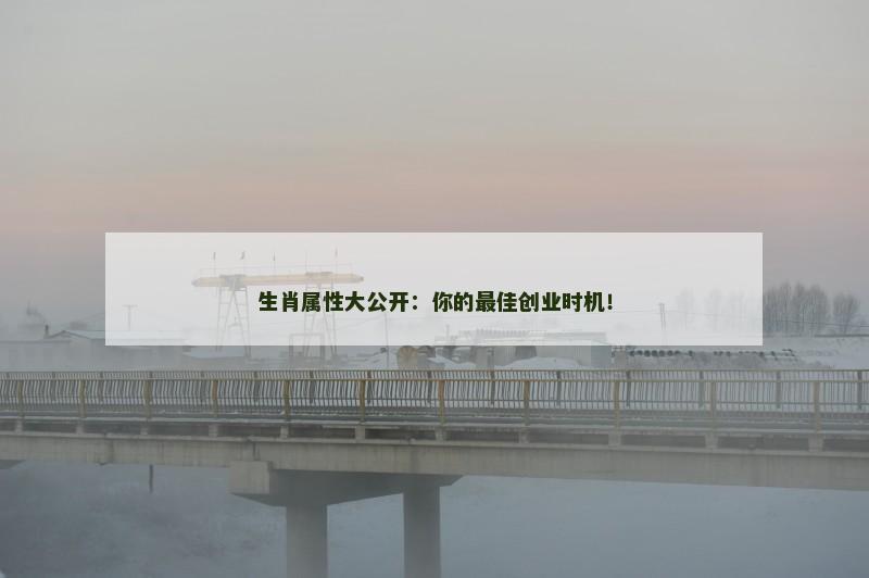 生肖属性大公开：你的最佳创业时机！
