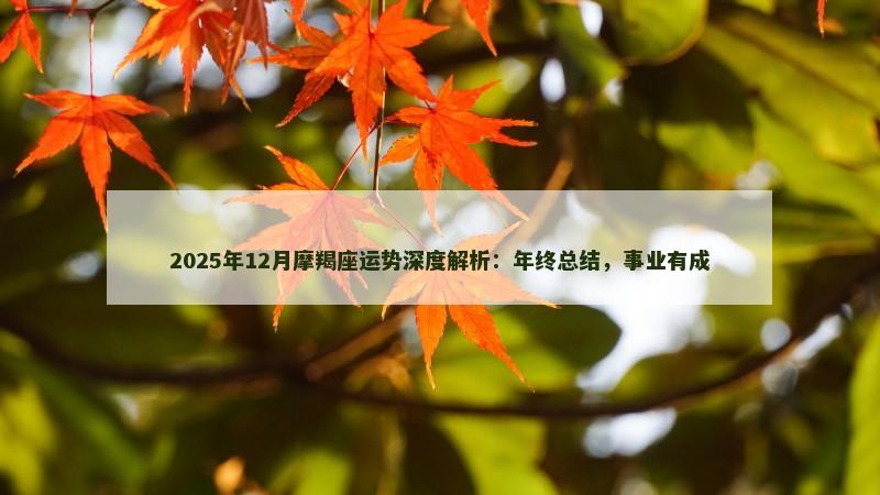 2025年12月摩羯座运势深度解析：年终总结，事业有成