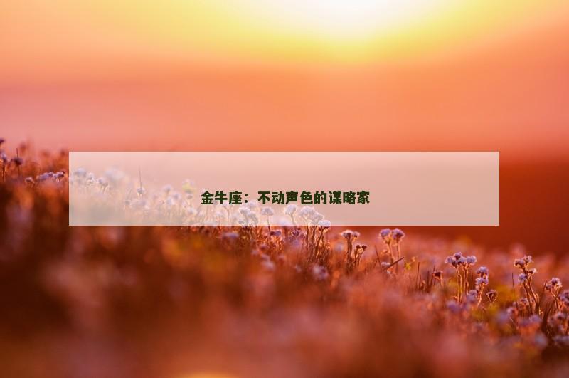 金牛座：不动声色的谋略家