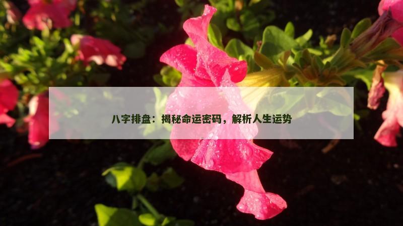 八字排盘：揭秘命运密码，解析人生运势