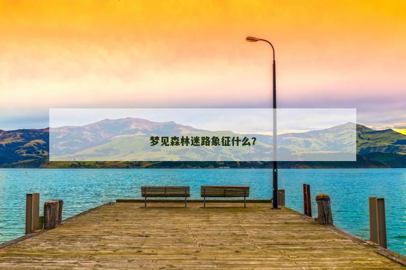 梦见森林迷路象征什么？
