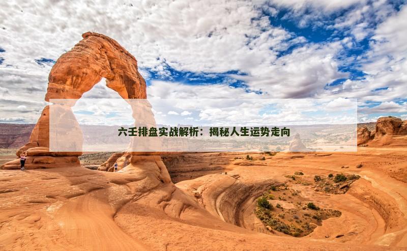 六壬排盘实战解析：揭秘人生运势走向