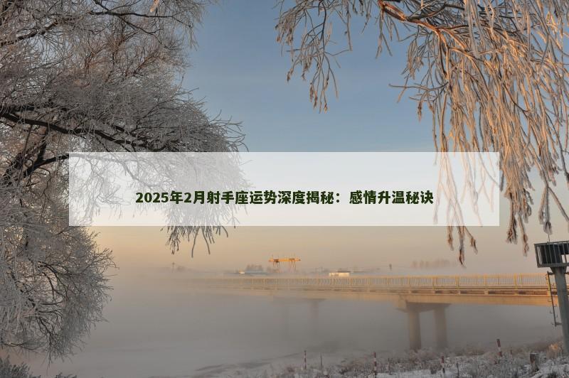 2025年2月射手座运势深度揭秘：感情升温秘诀