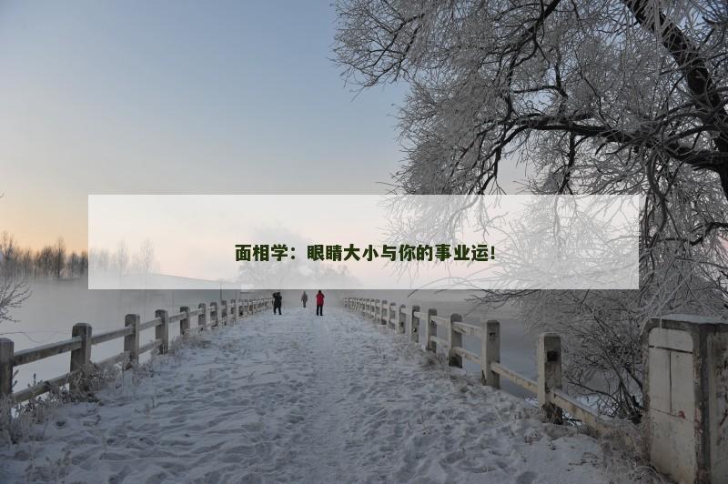 面相学：眼睛大小与你的事业运！