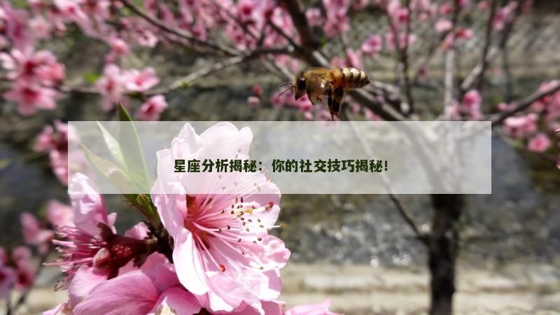 星座分析揭秘：你的社交技巧揭秘！