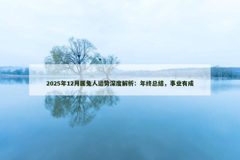 2025年12月属兔人运势深度解析：年终总结，事业有成