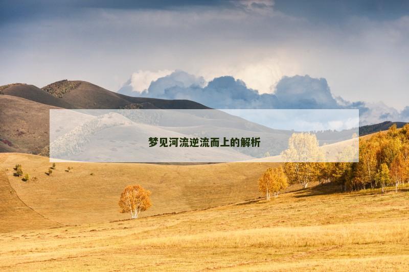 梦见河流逆流而上的解析