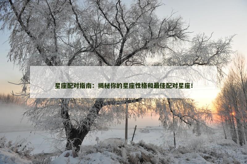 星座配对指南：揭秘你的星座性格和最佳配对星座！