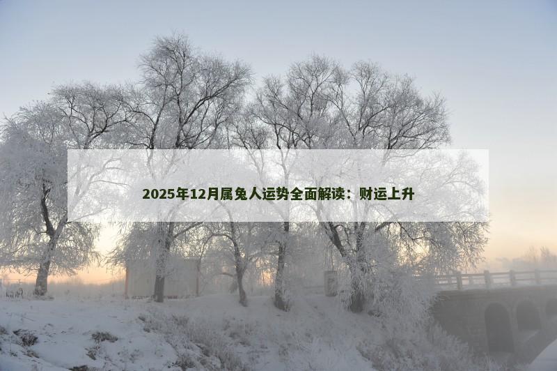 2025年12月属兔人运势全面解读：财运上升