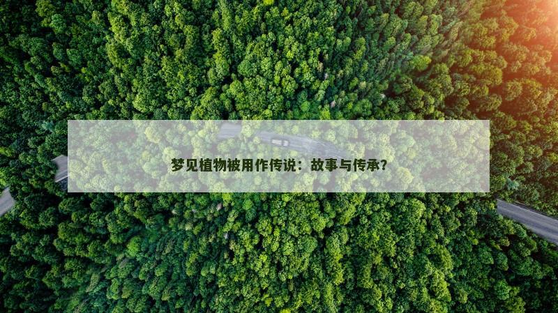 梦见植物被用作传说：故事与传承？