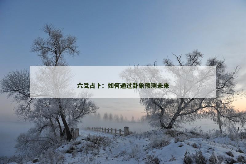 六爻占卜:如何通过卦象预测未来