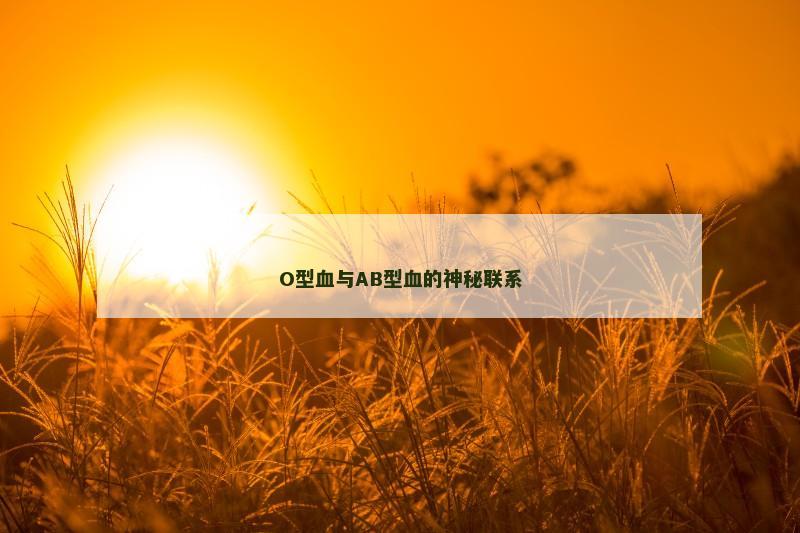 O型血与AB型血的神秘联系