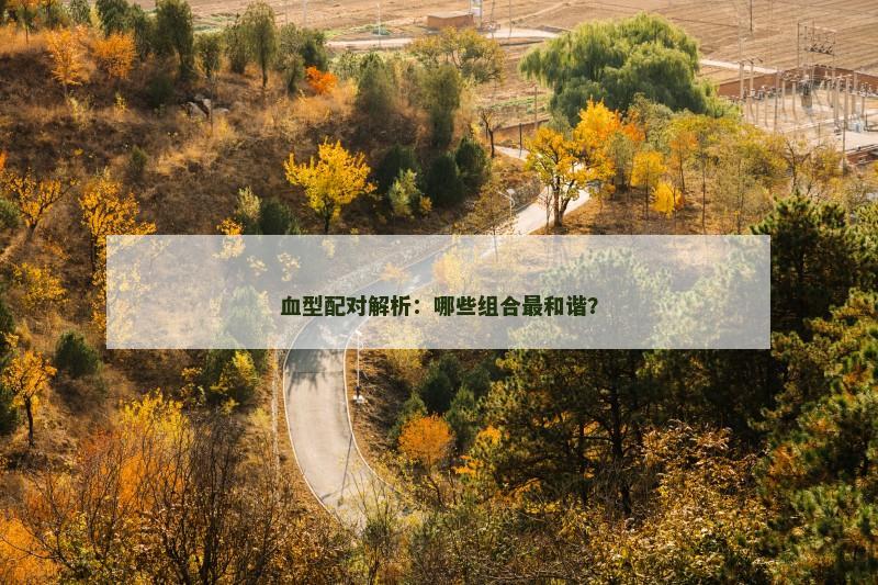 血型配对解析：哪些组合最和谐？