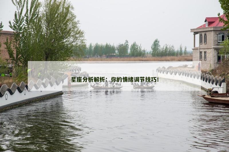 星座分析解析：你的情绪调节技巧！