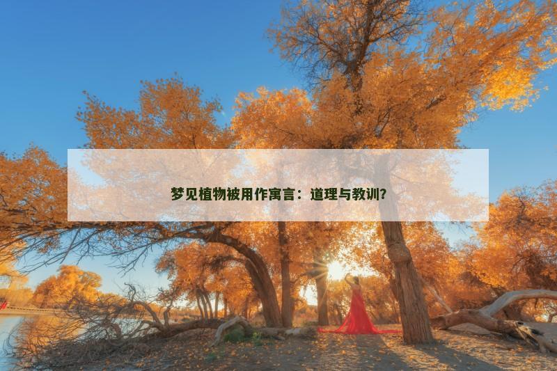 梦见植物被用作寓言：道理与教训？