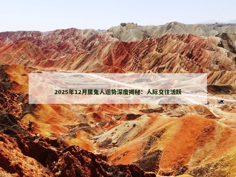 2025年12月属兔人运势深度揭秘：人际交往活跃