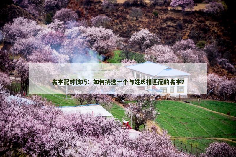 名字配对技巧：如何挑选一个与姓氏相匹配的名字？