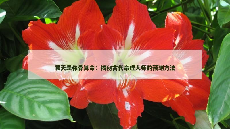 袁天罡称骨算命：揭秘古代命理大师的预测方法
