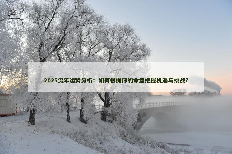 2025流年运势分析：如何根据你的命盘把握机遇与挑战？