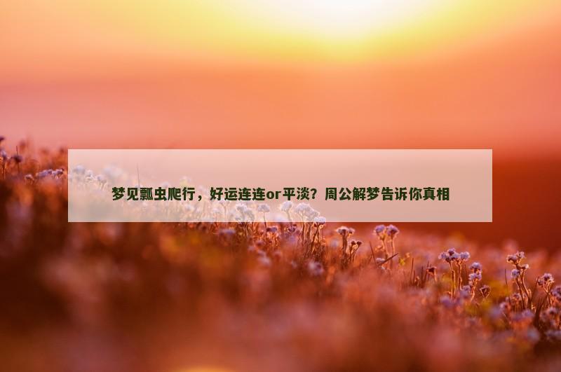 梦见瓢虫爬行，好运连连or平淡？周公解梦告诉你真相