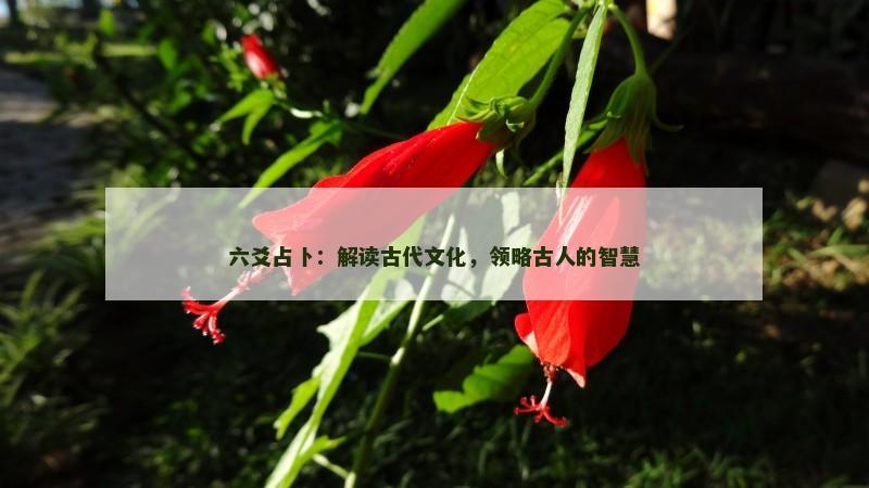 六爻占卜：解读古代文化，领略古人的智慧