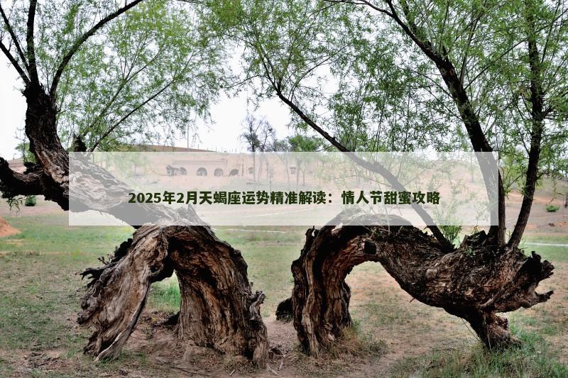 2025年2月天蝎座运势精准解读：情人节甜蜜攻略