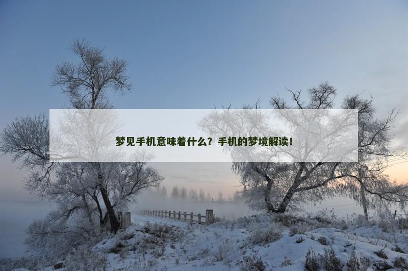 梦见手机意味着什么？手机的梦境解读！