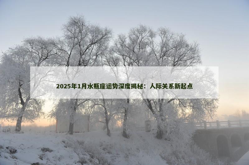 2025年1月水瓶座运势深度揭秘：人际关系新起点