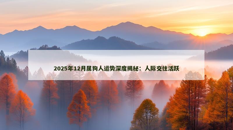 2025年12月属狗人运势深度揭秘：人际交往活跃