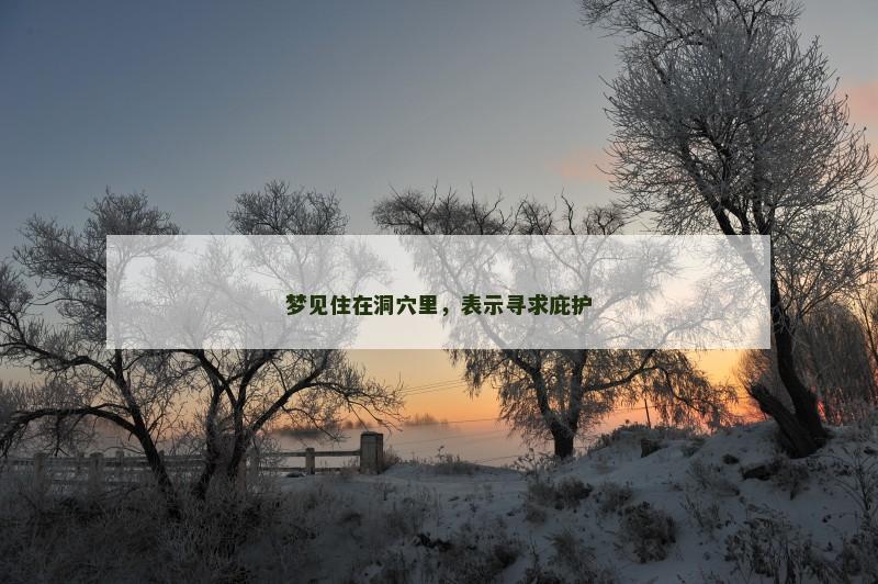 梦见住在洞穴里，表示寻求庇护