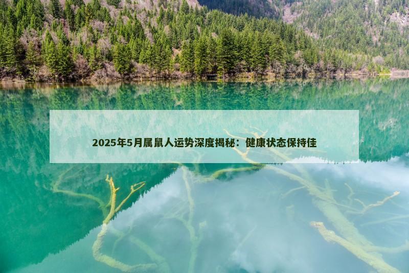2025年5月属鼠人运势深度揭秘：健康状态保持佳