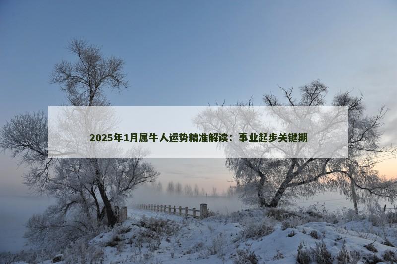 2025年1月属牛人运势精准解读：事业起步关键期