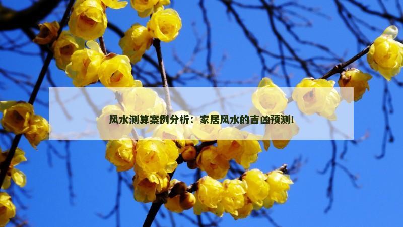 风水测算案例分析:家居风水的吉凶预测!