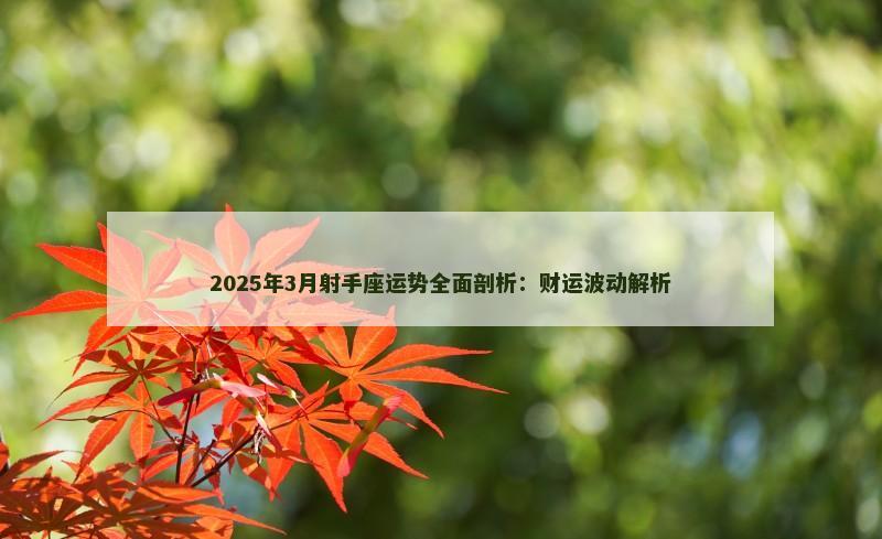 2025年3月射手座运势全面剖析:财运波动解析