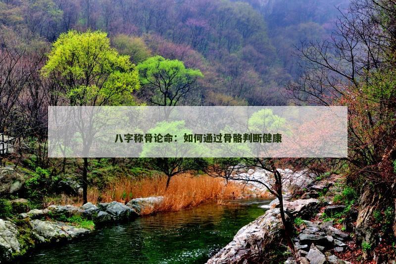 八字称骨论命:如何通过骨骼判断健康