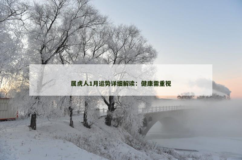 属虎人1月运势详细解读:健康需重视